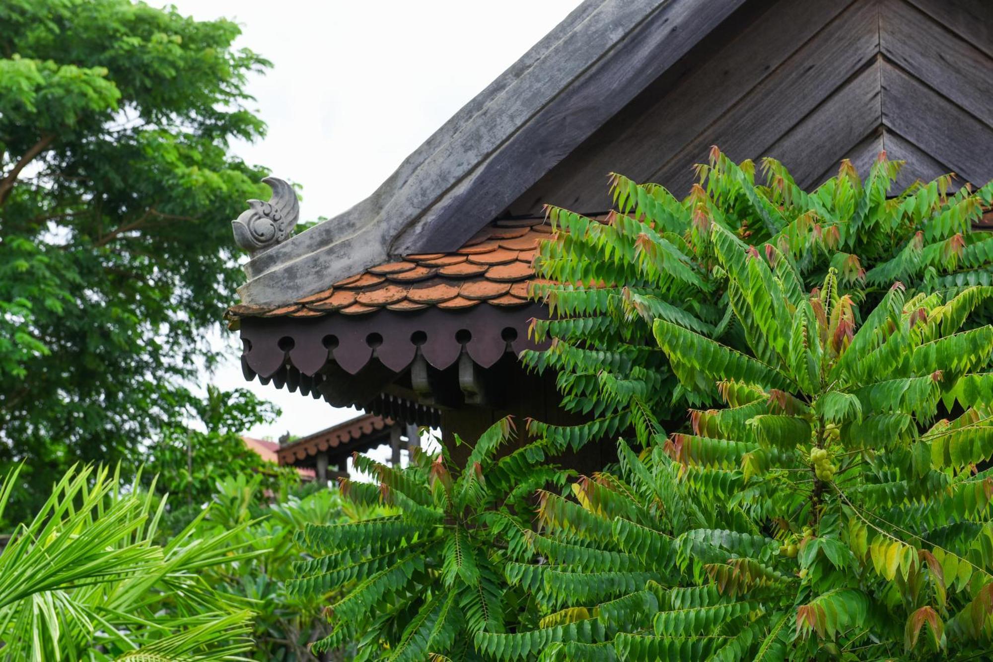 Phum Khmer Lodge - Village Cambodian Eco-Lodge Siem Reap Luaran gambar